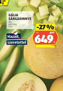 ALDI Gália Sárgadinnye ajánlat