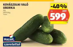 ALDI Kovászolni való uborka ajánlat