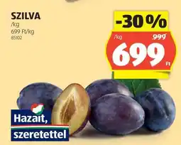 ALDI Szilva ajánlat