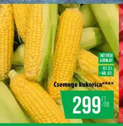 Coop Csemege kukorica ajánlat