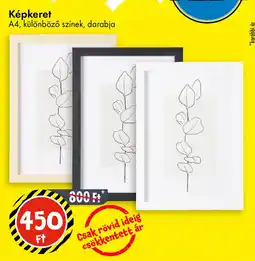 Tedi Képkeret ajánlat