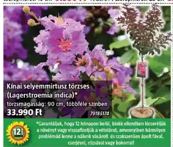 Bauhaus Kínai selyemmirtusz törzses ajánlat