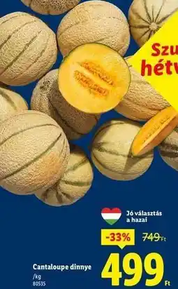 Lidl Cantaloupe dinnye ajánlat