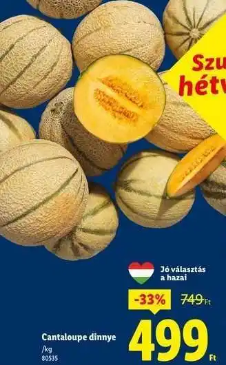Lidl Cantaloupe dinnye ajánlat