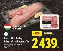 Lidl FRESH FISH TODAY Friss, afrikai harcsafilé ajánlat
