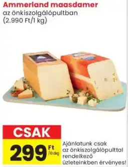 Spar Market Ammerland maasdamer ajánlat