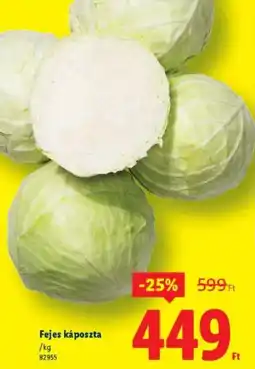 Lidl Fejes káposzta ajánlat