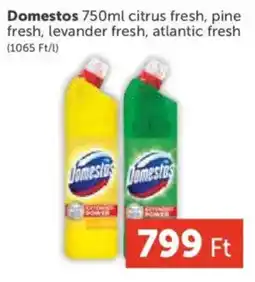 PRIVÁT Domestos ajánlat