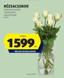 ALDI RÓZSACSOKOR ajánlat