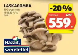 ALDI Laskagomba ajánlat
