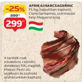 Auchan Afrikai Harcsagerinc ajánlat