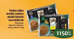 EcoFamily Sheba teljes értékű nedves eledel felnőtt macskáknak ajánlat