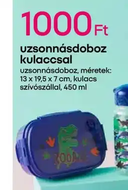 Pepco Uzsonnásdoboz kulaccsal ajánlat