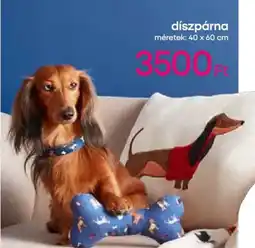 Pepco Díszpárna ajánlat