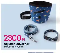 Pepco Együttes kutyáknak ajánlat