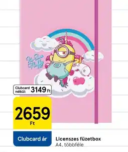 Tesco Licenszes füzetbox ajánlat