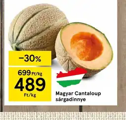 Tesco Magyar Cantaloup sárgadinnye ajánlat