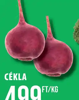 Coop Cékla ajánlat