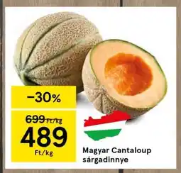 Tesco Magyar Cantaloup sárgadinnye ajánlat