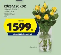 ALDI RÓZSACSOKOR ajánlat
