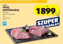 ALDI Friss sertéskaraj ajánlat