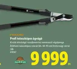 Lidl FISKARS Profi teleszkópos ágvágó ajánlat
