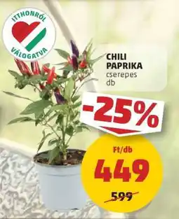 PENNY Chili Paprika ajánlat