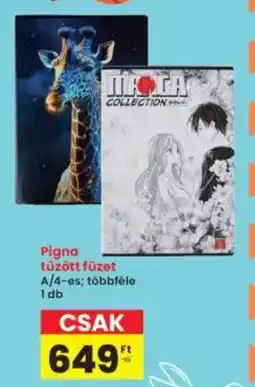 Interspar Pigna tűzött füzet ajánlat