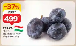 Auchan Szilva ajánlat
