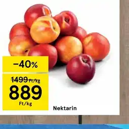 Tesco Nektarin ajánlat
