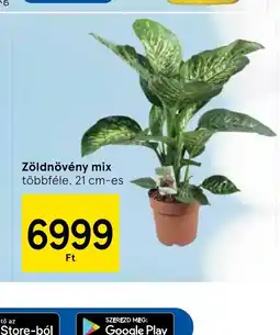 Tesco Zöldnövény mix ajánlat