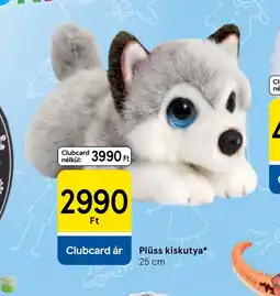 Tesco Plüss kiskutya ajánlat