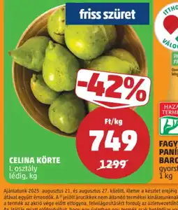 PENNY Celina Körte ajánlat
