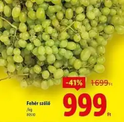 Lidl Fehér szőlő ajánlat