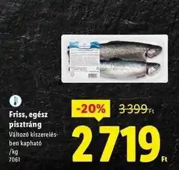 Lidl Friss egész pisztráng ajánlat