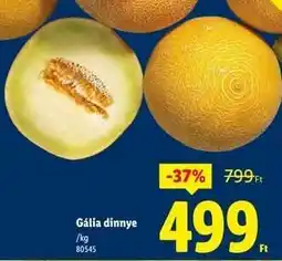 Lidl Gália dinnye ajánlat
