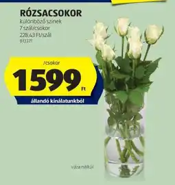 ALDI RÓZSACSOKOR ajánlat