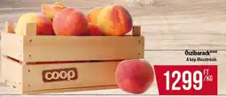 Coop Őszibarack ajánlat
