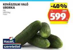 ALDI Kovászolni való uborka ajánlat