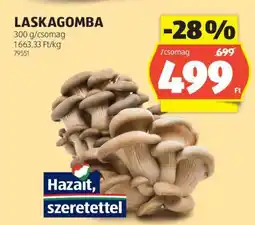 ALDI Laskagomba ajánlat