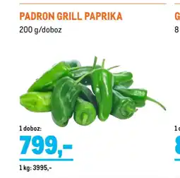 Metro Padron Grill paprika ajánlat