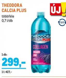 Metro Theodora Calcia plus ajánlat