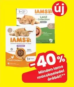Interspar Iams macskaeledel ajánlat