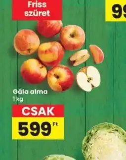 Interspar Gala alma ajánlat