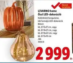 Lidl LIVARNO home Őszi LED-dekoráció ajánlat