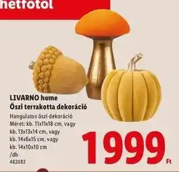 Lidl LIVARNO home Őszi terrakotta dekoráció ajánlat