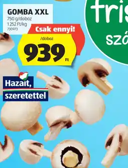 ALDI Gomba XXL ajánlat