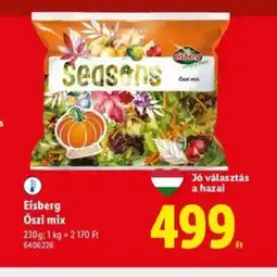 Lidl Eisberg Őszi mix ajánlat