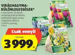 ALDI Virághagyma-különlegességek ajánlat