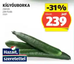 ALDI Kígyóuborka ajánlat